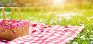 picnic