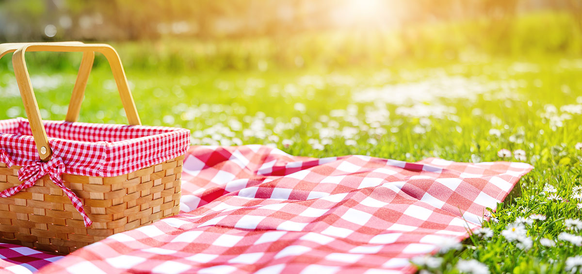 picnic